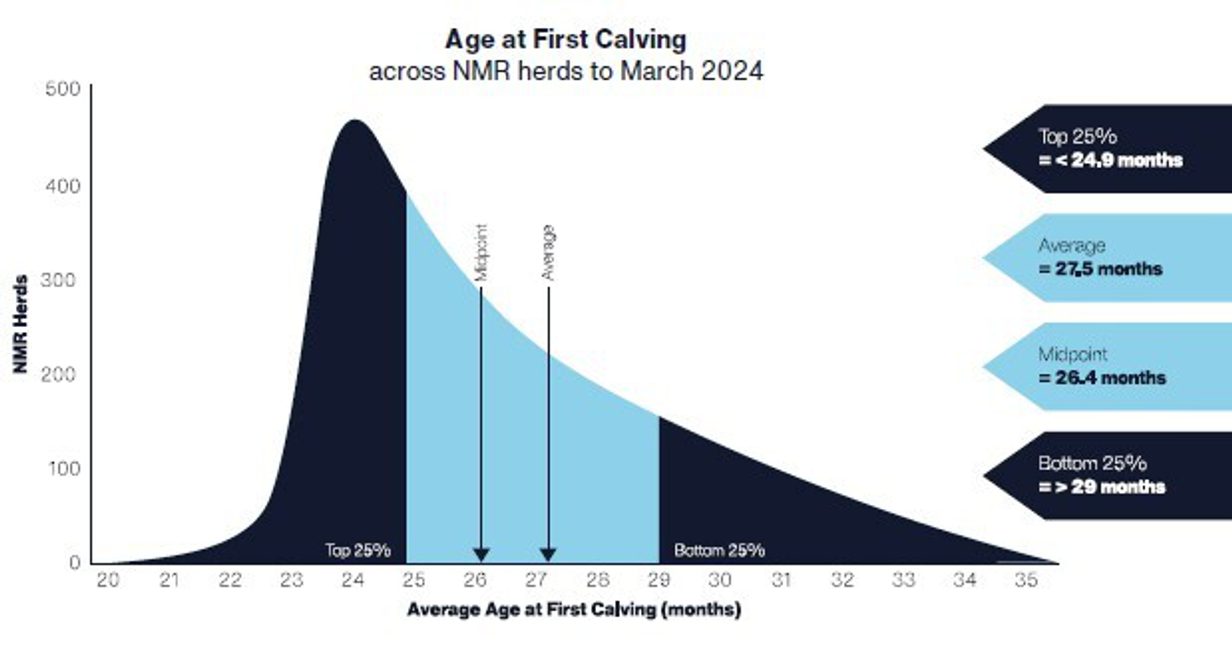 Age at First Calving 2025 based on 2024 data