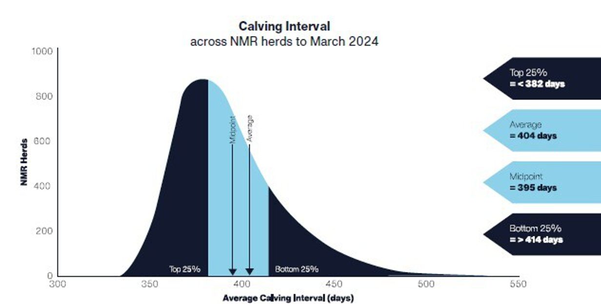 Calving Interval 2025 based on 2024 data