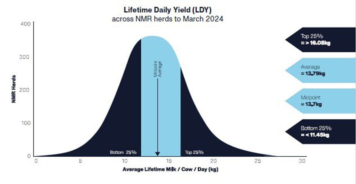 Lifetime Daily Yield 2025 based on 2024 data