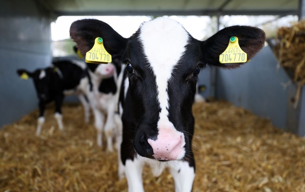Genomics pave the way for future success, Yorkshire