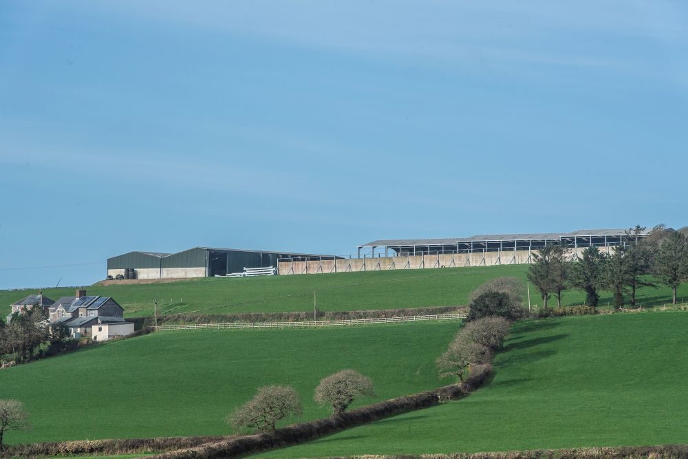 RABDF / NMR Gold Cup Winners Open Day and Farm Walk