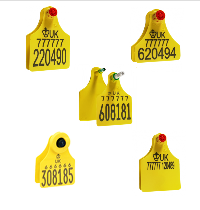 UNIFORM and Nordic Star makes tag ordering easier for dairy farmers
